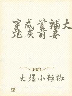 穿成首辅大人的炮灰前妻