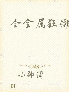 全金属狂潮小说