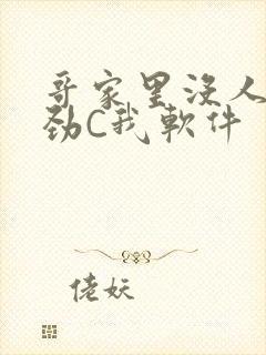 哥家里没人使点劲C我软件