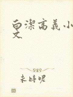 白洁高义小说全文