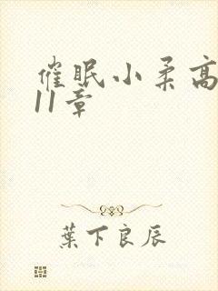 催眠小柔高达第11章