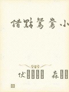 错点鸳鸯小说