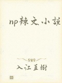 np辣文小说