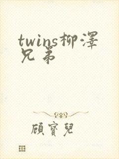 twins柳泽兄弟