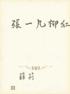 张一凡柳红