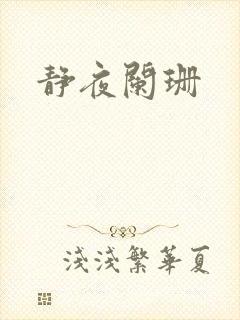 静夜阑珊