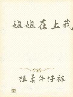 姐姐在上我在下