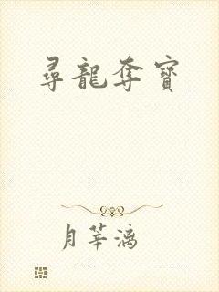 寻龙夺宝