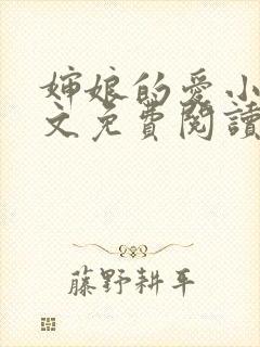 婶娘的爱小说全文免费阅读