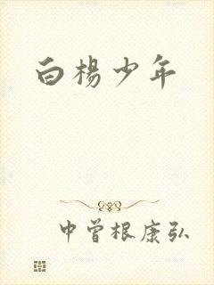 白杨少年