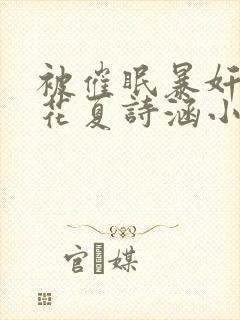 被催眠暴奸的校花夏诗涵小说