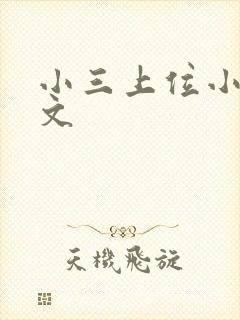 小三上位小说全文