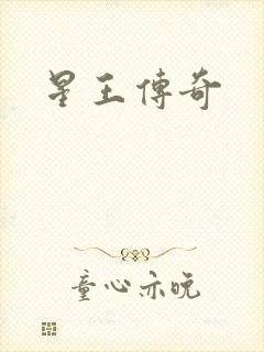 星王传奇