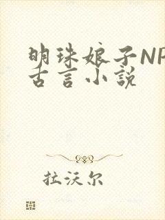 明珠娘子NPC古言小说