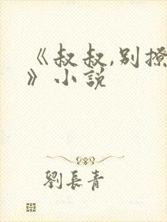 《叔叔,别撩我》小说