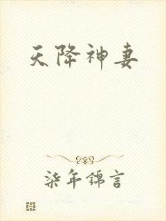 天降神妻