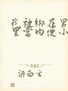 我被绑在男公厕里当肉便小说