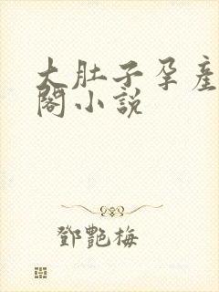 大肚子孕产笔趣阁小说