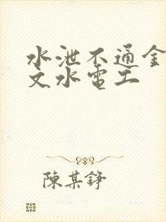 水泄不通金银原文水电工