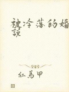 被冷落的婚姻小说