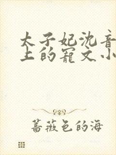 太子妃沈音和皇上的宠文小说