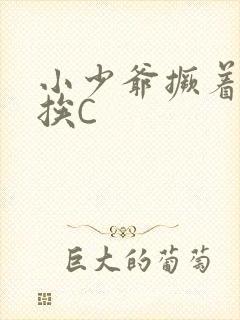 小少爷撅着屁股挨C