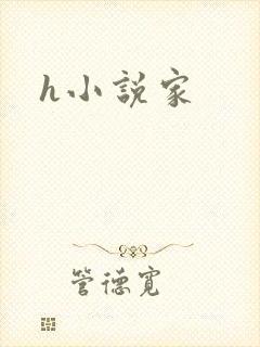 h小说家