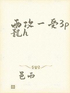 两攻一受3p双龙h