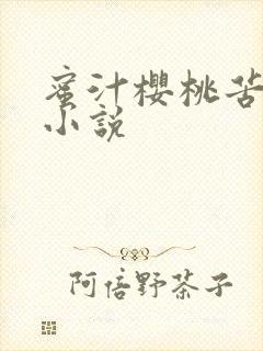 蜜汁樱桃苦咖啡小说