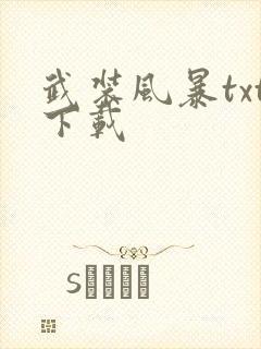 武装风暴txt下载
