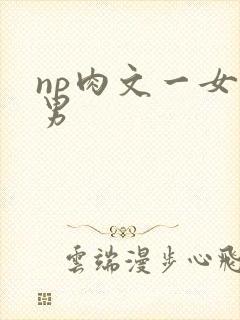 np肉文一女多男