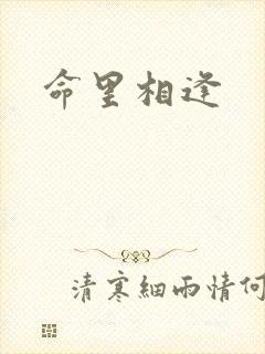命里相逢