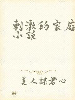 刺激的家庭乱仑小说