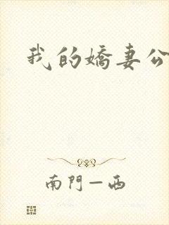 我的娇妻公务员