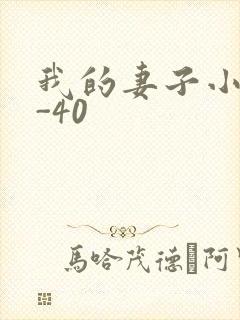 我的妻子小谨1-40