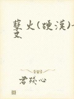 孽火(硬汉)今又