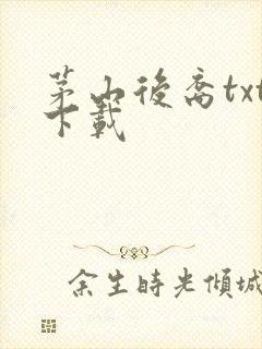 茅山后裔txt下载