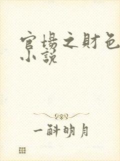 官场之财色诱人小说