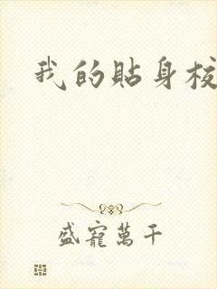 我的贴身校花