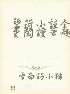 碧荷小说全文免费阅读笔趣阁