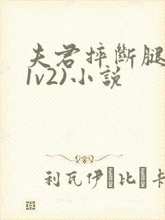 夫君摔断腿后(1v2)小说