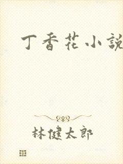 丁香花小说