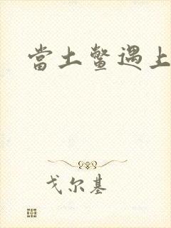 当土鳖遇上海龟