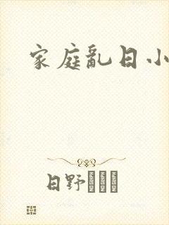 家庭乱日小说