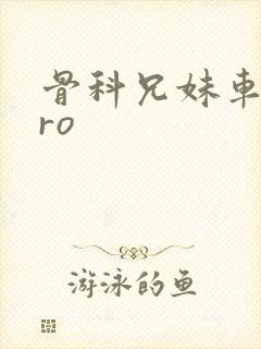 骨科兄妹车多pro