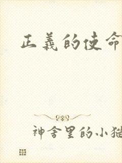 正义的使命小说