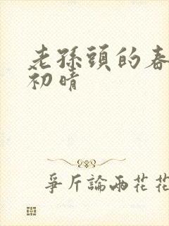 老孙头的春天林初晴