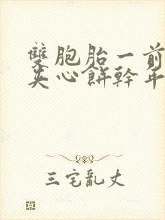 双胞胎一前一后夹心饼干年下