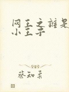 网王之谁是我的小王子