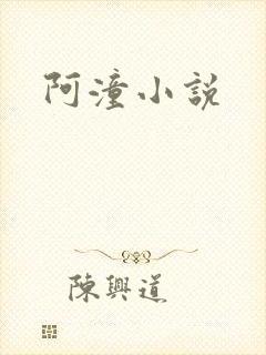 阿潼小说